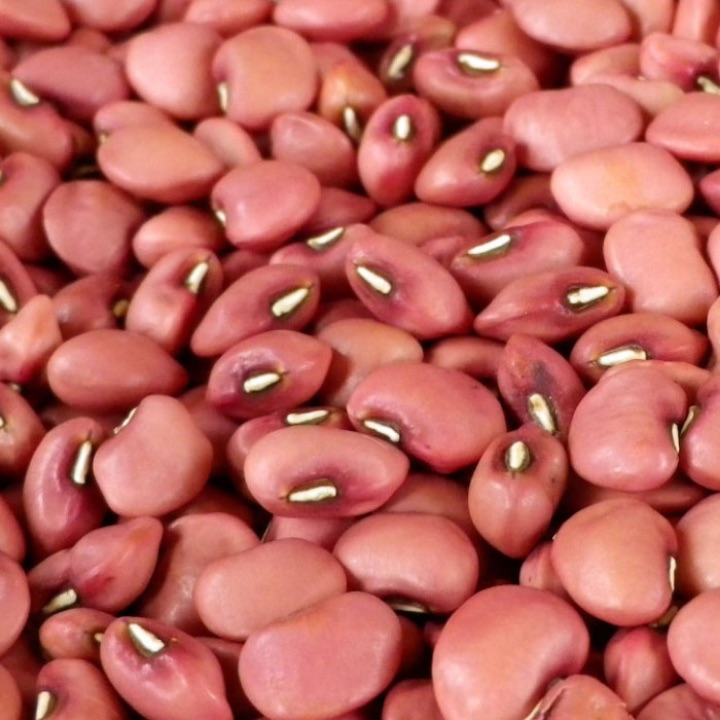 Red Cowpea